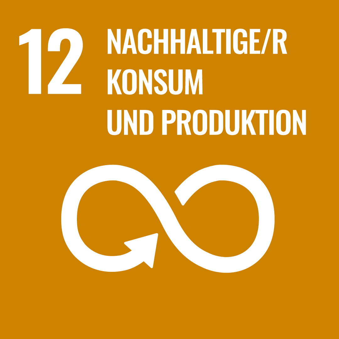 sdg12de