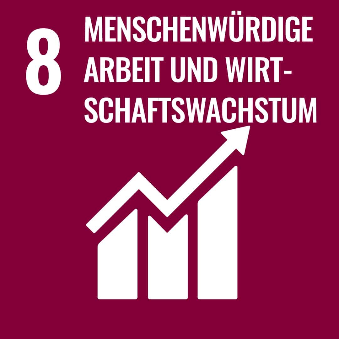 sdg8de